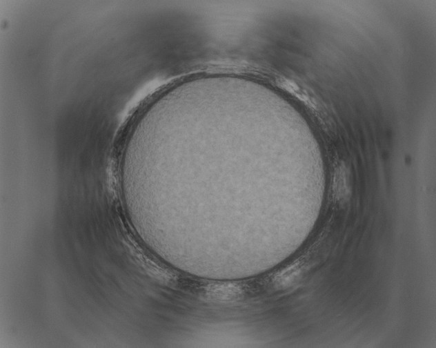 X0000087331454200705181024