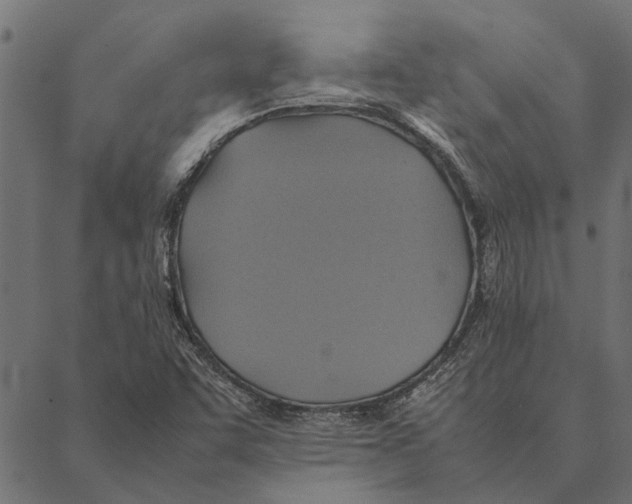 X0000087331455200705181024