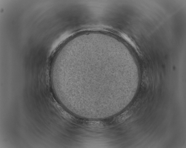 X0000087331456200705181024