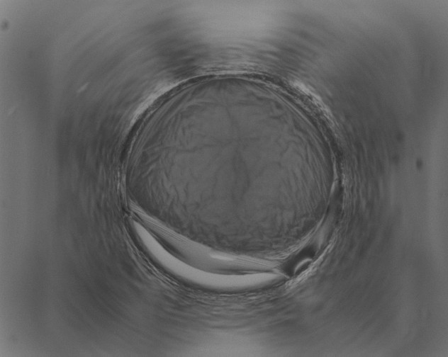 X0000087331457200705181024