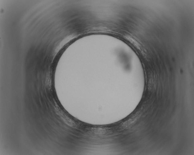 X0000087331458200705181024