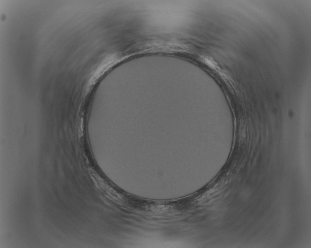 X0000087331459200705181024