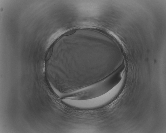 X0000087331461200705181024