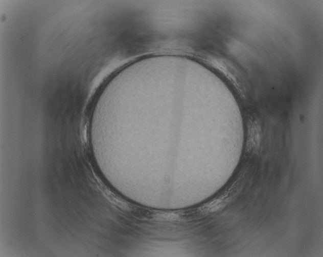 X0000087331462200705181024