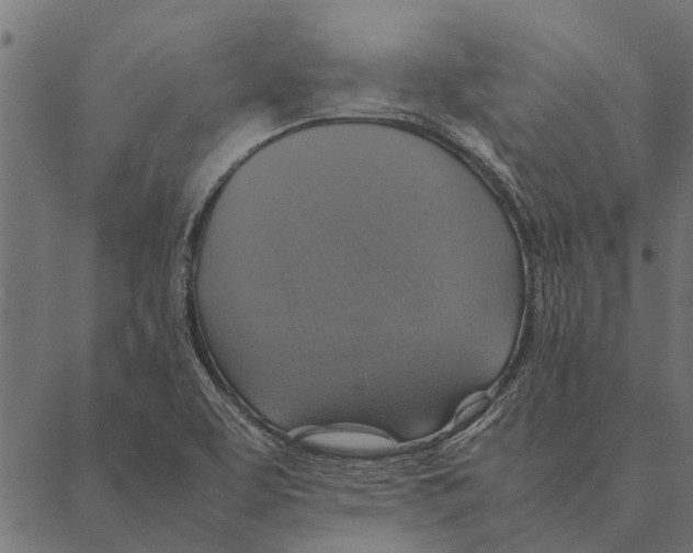 X0000087331463200705181024