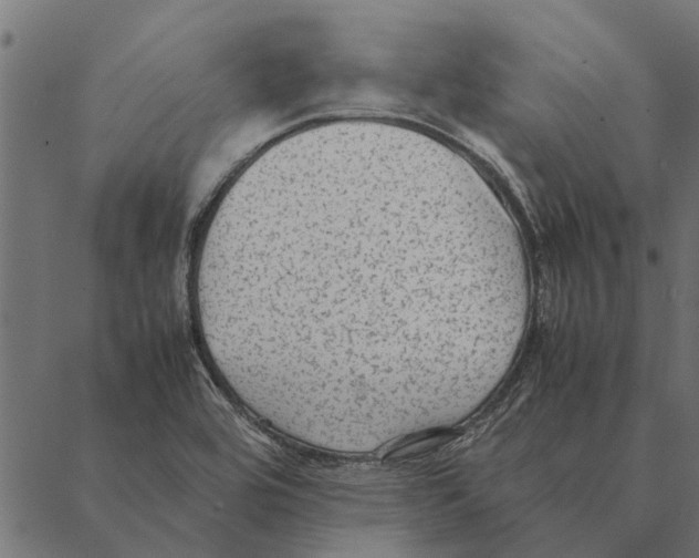 X0000087331464200705181024