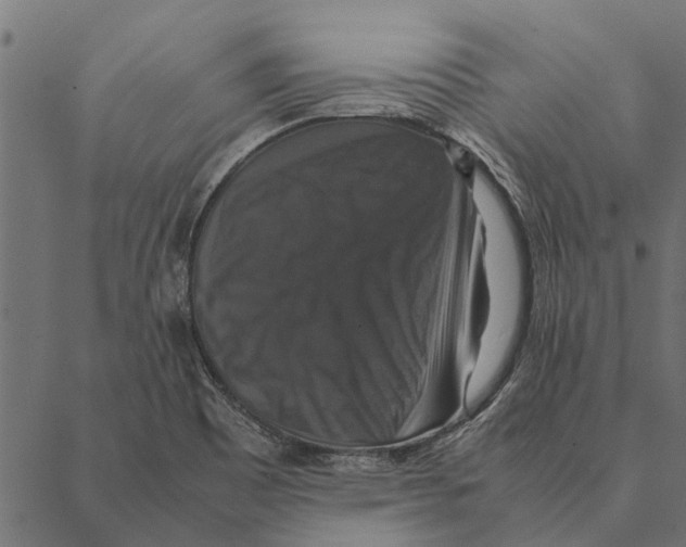 X0000087331465200705181024