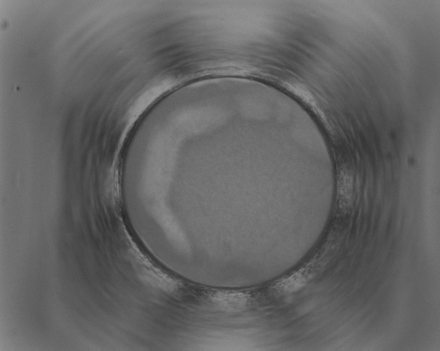 X0000087331466200705181024