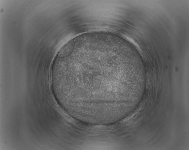 X0000087331467200705181024