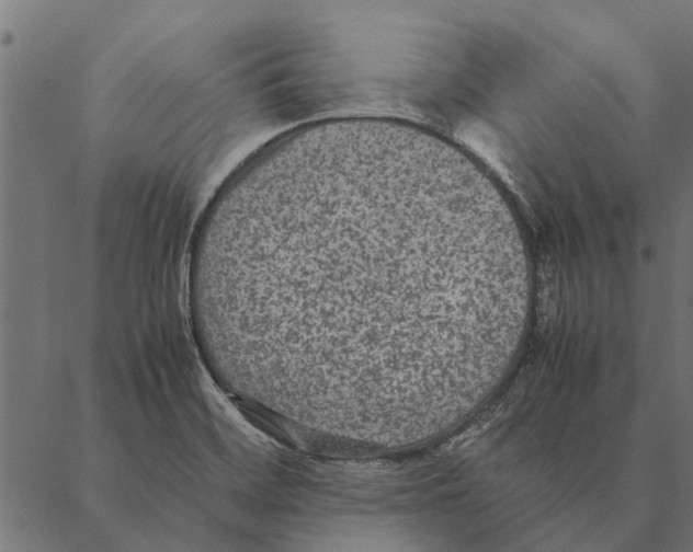 X0000087331468200705181024