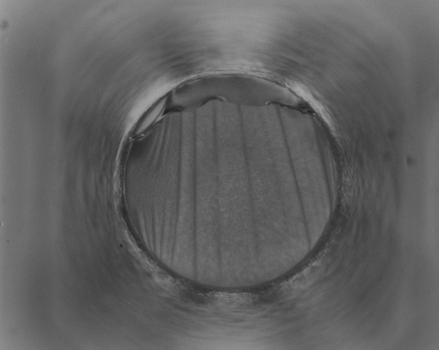 X0000087331469200705181024