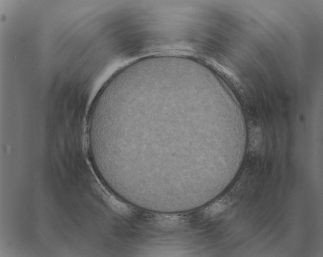 X0000087331470200705181024