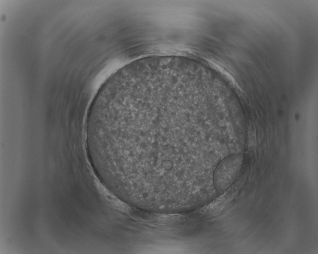 X0000087331471200705181024