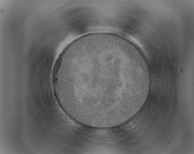 X0000087331472200705181024