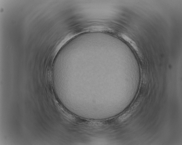 X0000087331473200705181024