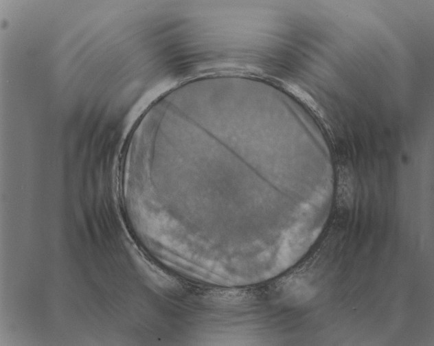 X0000087331474200705181024