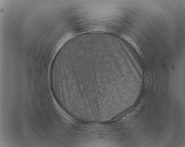 X0000087331475200705181024