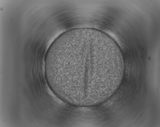 X0000087331476200705181024