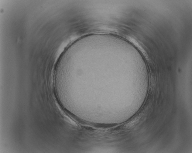 X0000087331477200705181024