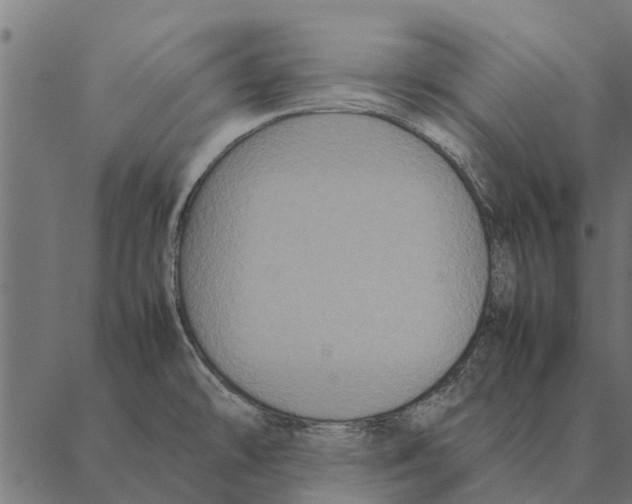 X0000087331478200705181024