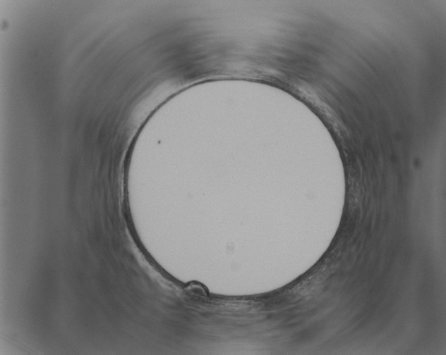 X0000087331479200705181024