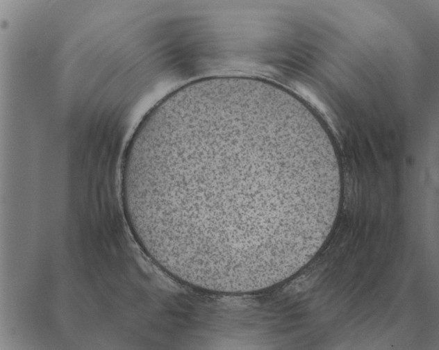 X0000087331480200705181024