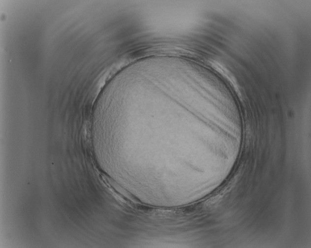 X0000087331481200705181024