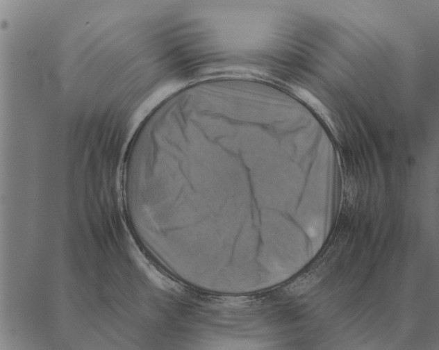 X0000087331482200705181023