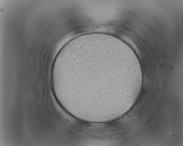 X0000087331483200705181023