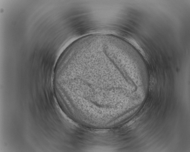 X0000087331484200705181023