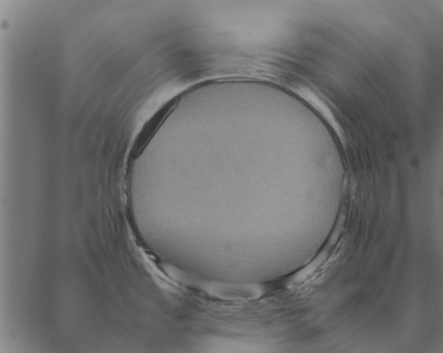 X0000087331485200705181023