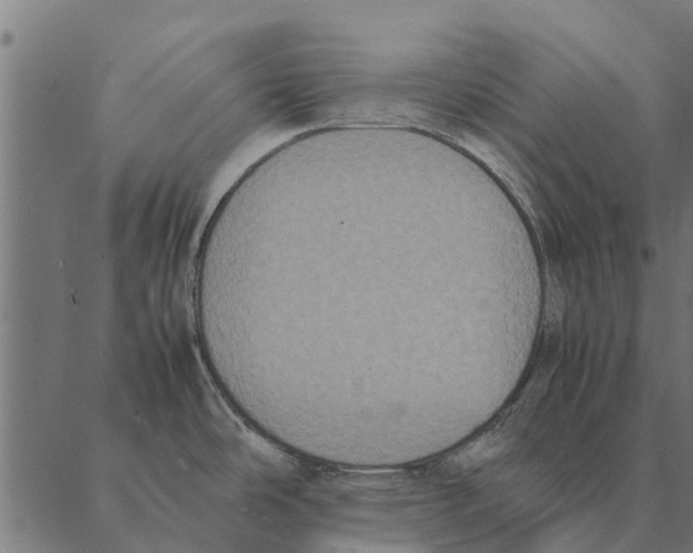 X0000087331486200705181023