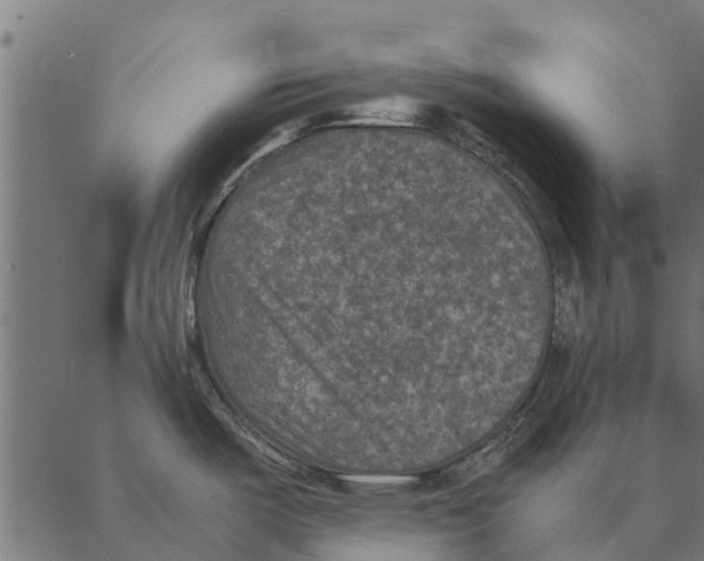 X0000087331487200705181023