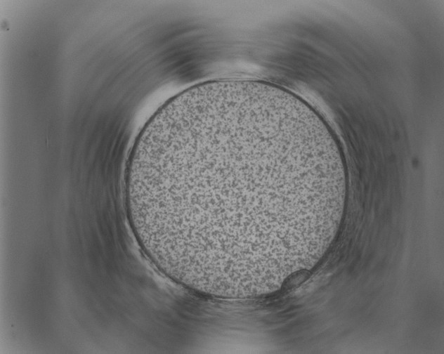 X0000087331488200705181023