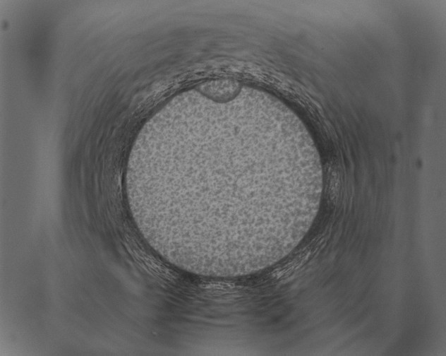 X0000087331489200705181023