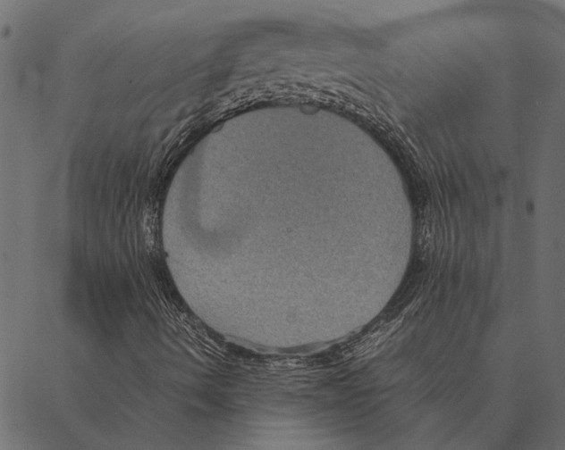 X0000087331490200705181023