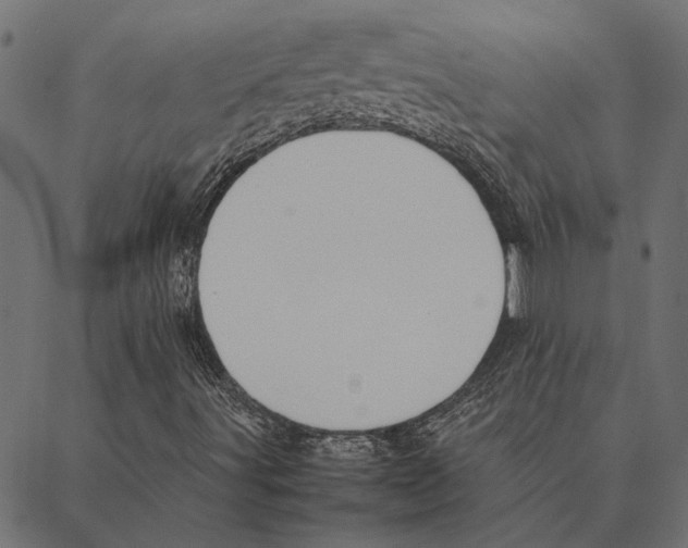 X0000087331491200705181023