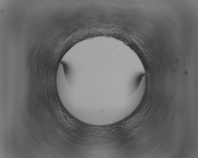 X0000087331492200705181023