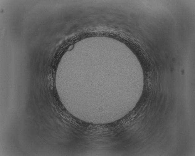 X0000087331493200705181023