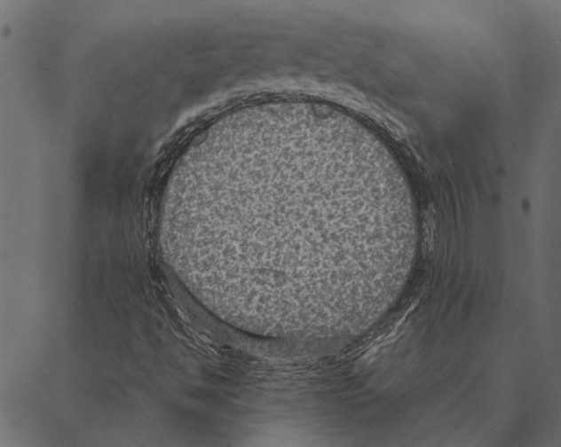 X0000087331494200705181023