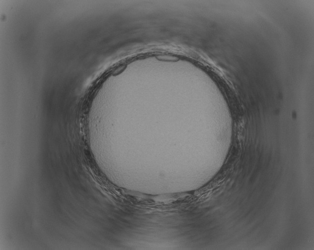 X0000087331496200705181023