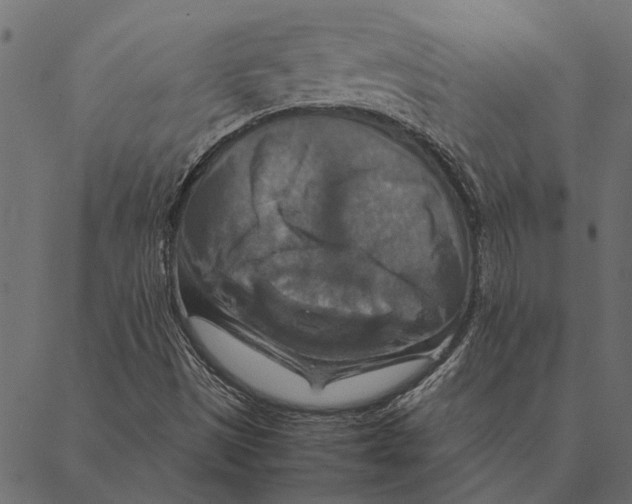 X0000087331497200705181023