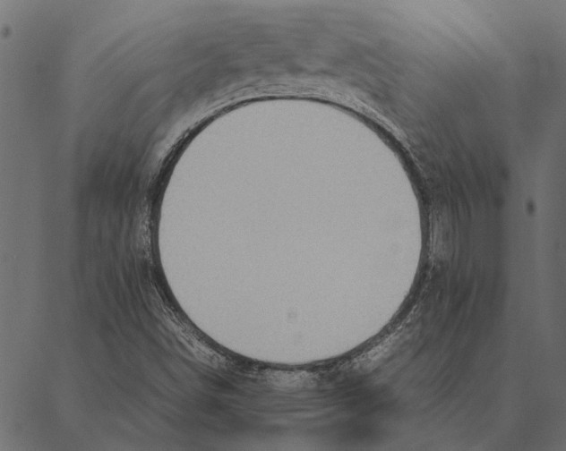 X0000087331498200705181023