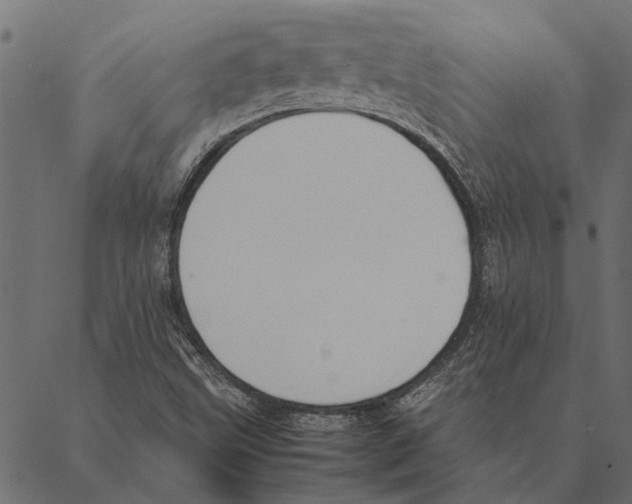 X0000087331499200705181023