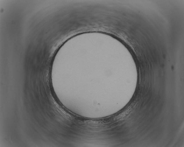 X0000087331500200705181023