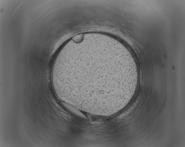 X0000087331501200705181023