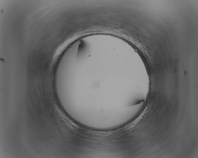 X0000087331502200705181023