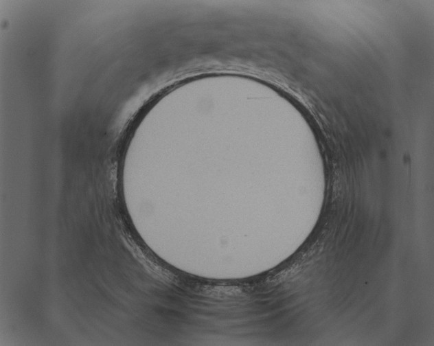 X0000087331503200705181023