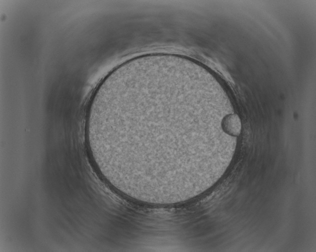 X0000087331504200705181023