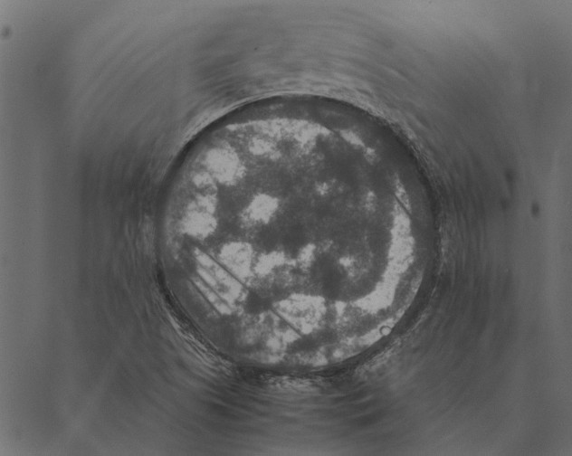 X0000087331505200705181023